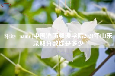 广西中国消防救援学院2021年山东录取分数线是多少