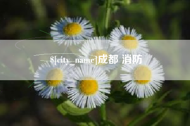 广西成都 消防