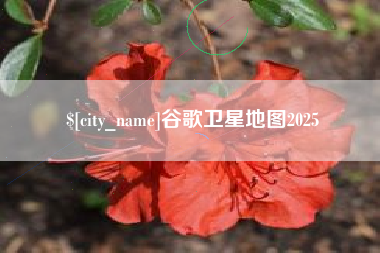 广西谷歌卫星地图2025
