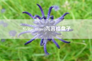 广西九宫格盘子