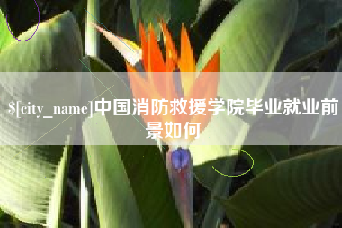 广西中国消防救援学院毕业就业前景如何