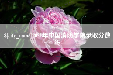 广西2021年中国消防学院录取分数线