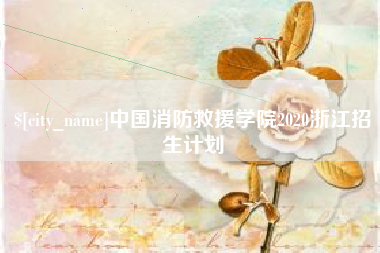广西中国消防救援学院2020浙江招生计划