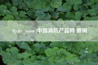 广西中国消防产品网 查询