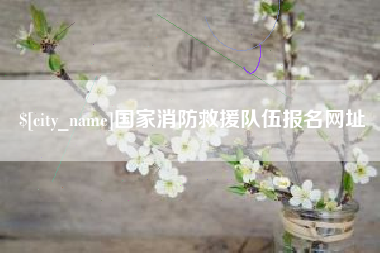 广西国家消防救援队伍报名网址