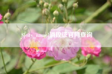 广西消控证官网查询