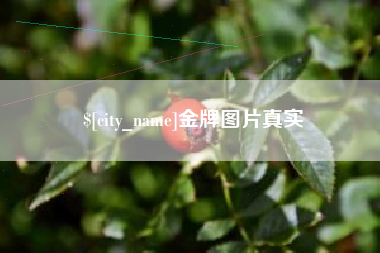 广西金牌图片真实