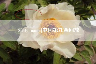 广西中国第九金回放