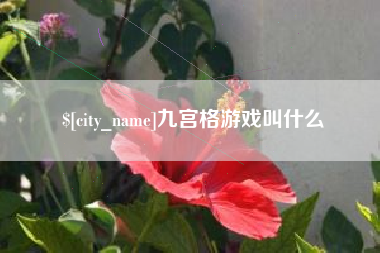 广西九宫格游戏叫什么