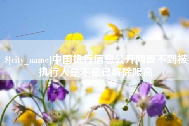 广西中国执行信息公开网查不到被执行人是不是已解除限高