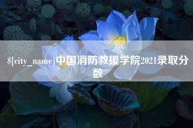 广西中国消防救援学院2021录取分数