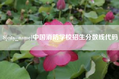 广西中国消防学校招生分数线代码