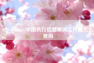广西中国执行信息查询公开网怎么查询