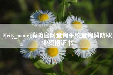 广西消防官网查询系统查询消防职业资格证书