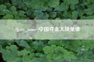 广西中国夺金大项是谁