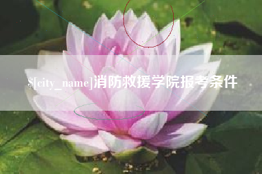 广西消防救援学院报考条件