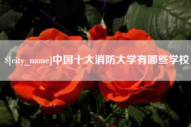 广西中国十大消防大学有哪些学校