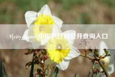 广西中国执行网公开查询入口