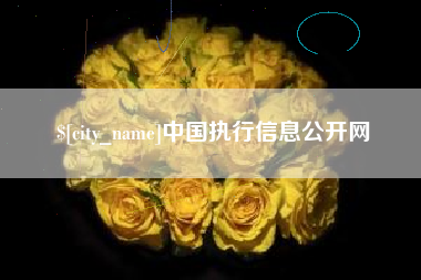 广西中国执行信息公开网