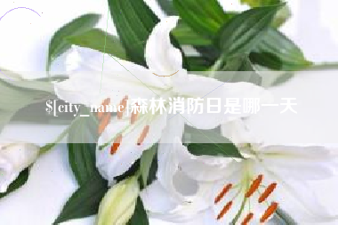 广西森林消防日是哪一天