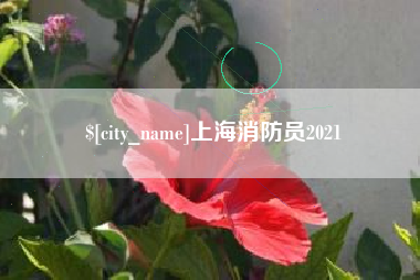 广西上海消防员2021