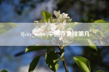 广西中国夺金排第几