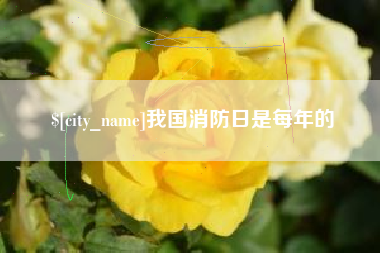 广西我国消防日是每年的