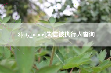 广西失信被执行人杳询