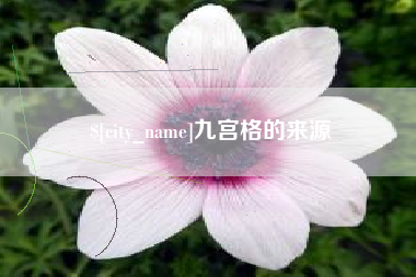 广西九宫格的来源