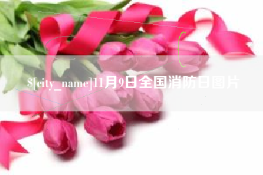 广西11月9日全国消防日图片