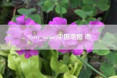 广西中国地图 市