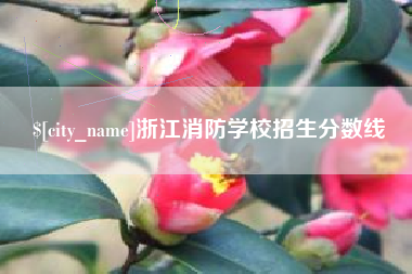 广西浙江消防学校招生分数线