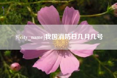 广西我国消防日几月几号