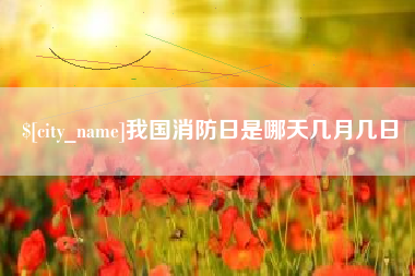 广西我国消防日是哪天几月几日
