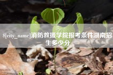 广西消防救援学院报考条件湖南招生多少分