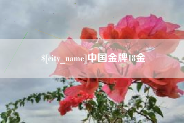 广西中国金牌18金