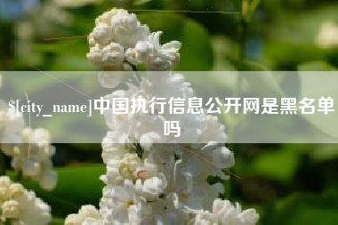 广西中国执行信息公开网是黑名单吗