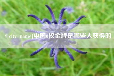 广西中国6枚金牌是哪些人获得的