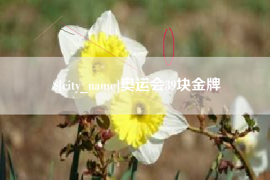 广西奥运会39块金牌