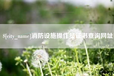 广西消防设施操作员证书查询网址