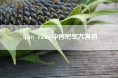 广西中国冠军九宫格