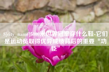 广西5000米世界冠军穿什么鞋-它们是运动员取得优异成绩背后的重要“功臣”