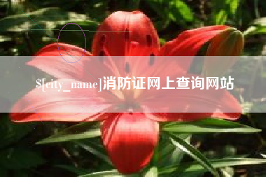 广西消防证网上查询网站