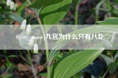 广西九宫为什么只有八卦