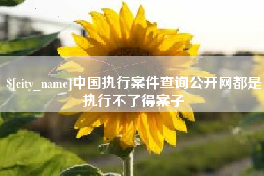 广西中国执行案件查询公开网都是执行不了得案子