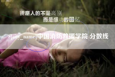 广西中国消防救援学院 分数线