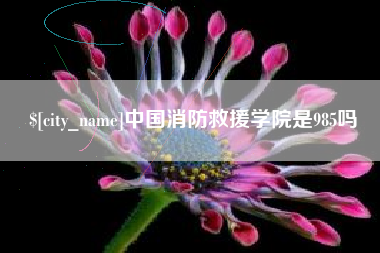 广西中国消防救援学院是985吗