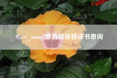 广西查消防资格证书查询