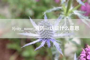 广西消防ccc认证什么意思