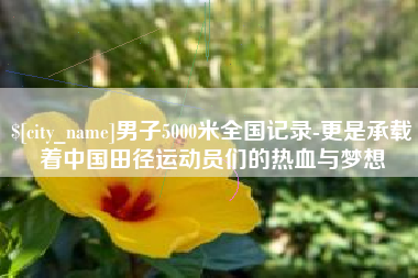 广西男子5000米全国记录-更是承载着中国田径运动员们的热血与梦想